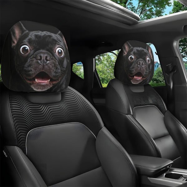 Amazing Black French Bulldog