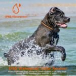 1Pc 984FT Dog Training Collar IP65 Waterproof Pet Beep Vibration Electric Shock Collar 3 Channels Rechargeable Transmitter Receiver Trainer With Recording Safety Keypad Lock - Image 10
