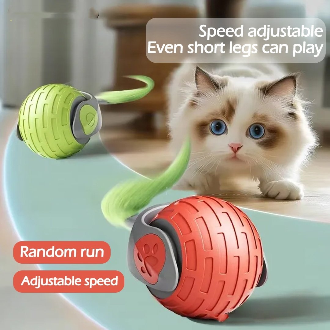 308d1486-64be-463c-a2ec-d5368d110f4f.jpg New Interactive Cat Toys Ball Auto Electric Rolling Ball Toys For Cat Kitty Pets Smart Automatic Teaser USB Rechargeable Cat Toy Pet Products - Image 1