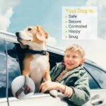 2Pcs Pet Dog Seat Belt Leash Adjustable Pet Dog Cat Safety Leads Harness - Image 4