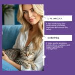 Calming Cat Spray, 60ML Natural Cat Anxiety Relief Spray For Stress & Bad Behavior Correction Product Bullet Points - Image 2