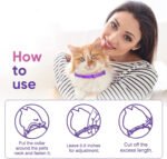 Pet Soothing Calming Collar Cat - Image 2