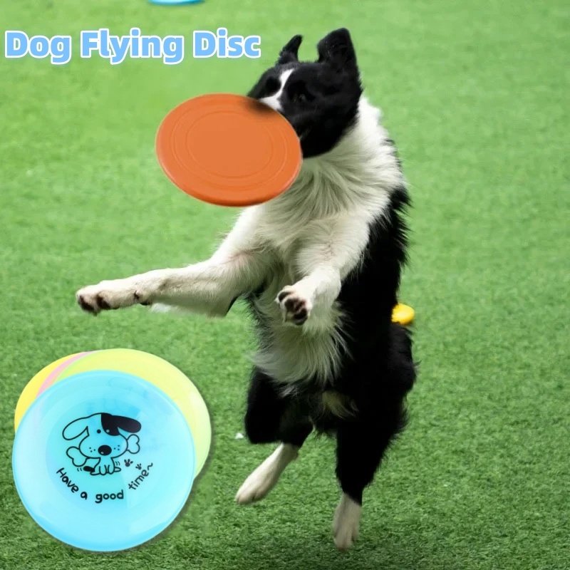 e656489d-734b-40a9-9d9d-1cd2f2921875.jpg Silicone Flying Saucer Funny Pets Dog Cat Toy Dog Game Flying Discs Resistant Chew Puppy Training Interactive Pet Supplies - Image 1