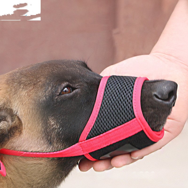f5f2e0c1-37a2-483f-8d05-bbb78c002a4d.jpg Mouth Cover To Prevent Eating Indiscriminately Large Labrador Dog - Image 1