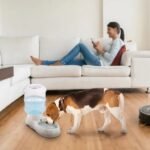 3.5L/1Gal Pet Water Dispenser Self-Dispensing Gravity Pets Water Feeder Automatic Pet Waterer Cat Dog - Image 3