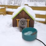 1Pc Heated Water Bowl For Dog Cat 74.4OZ Heating Water Dish IP67 Waterproof Thermal Water Bowl Heated Pet Bowl Dog Cat Water Feeder Bowl For Dog Cat Rabbit Pet - Image 5