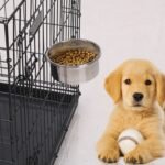1Pc M Size Stainless Steel Dog Bowl Pets Hanging Food Bowl Detachable Pet Cage Food Water Bowl With Clamp Holder - Image 6