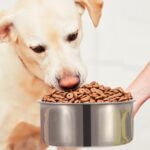 1Pc M Size Stainless Steel Dog Bowl Pets Hanging Food Bowl Detachable Pet Cage Food Water Bowl With Clamp Holder - Image 9
