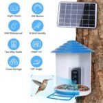 Smart Bird Feeder With Solar Powered Camera 1080P HD AI Identify PIR Motion Auto Capture Video Cloud Card Storage WiFi Connection App Control IP65 Waterproof - Image 4